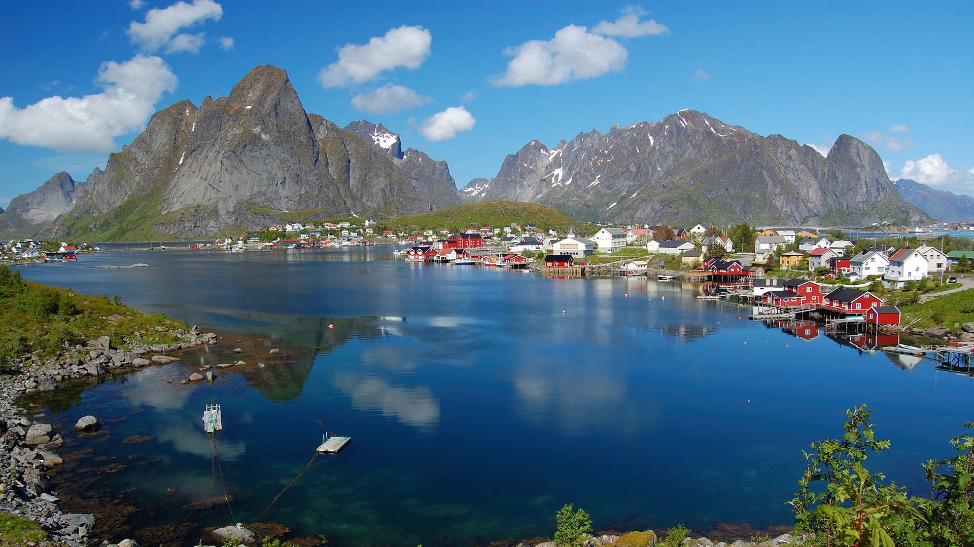 reine in estate