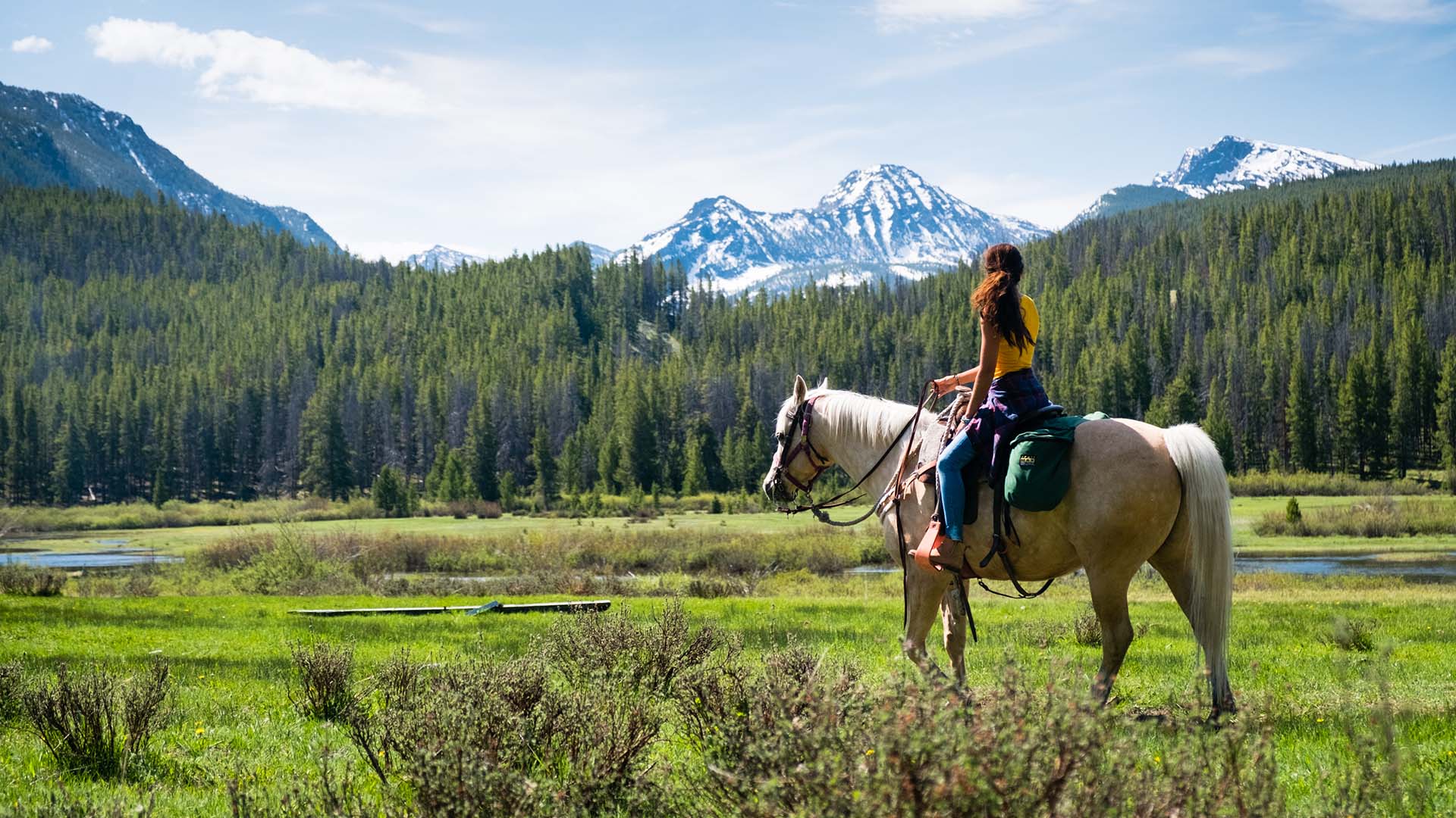 a girl on a horse-back ride in Montana