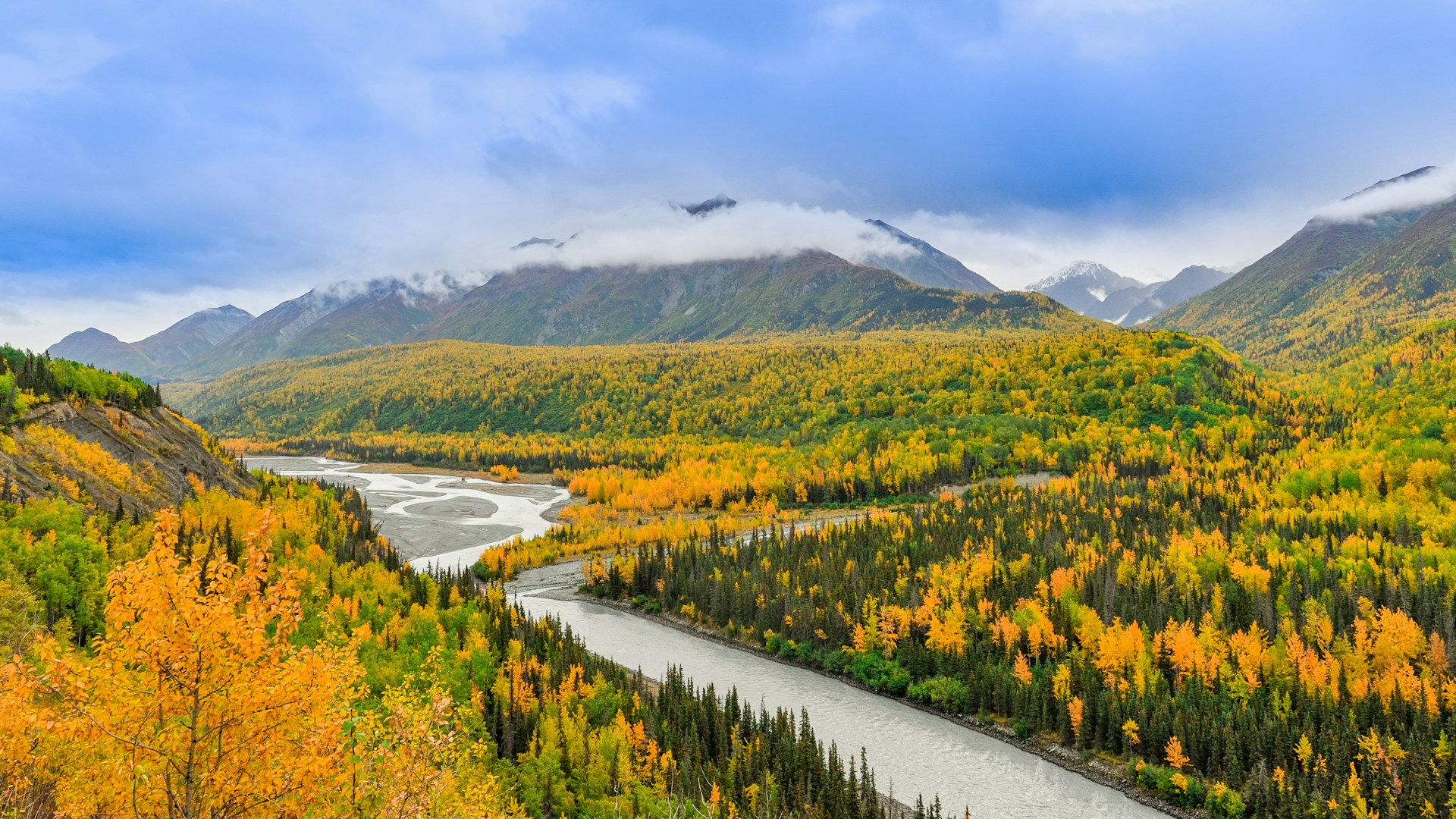 Alaska forest landscape early autumn