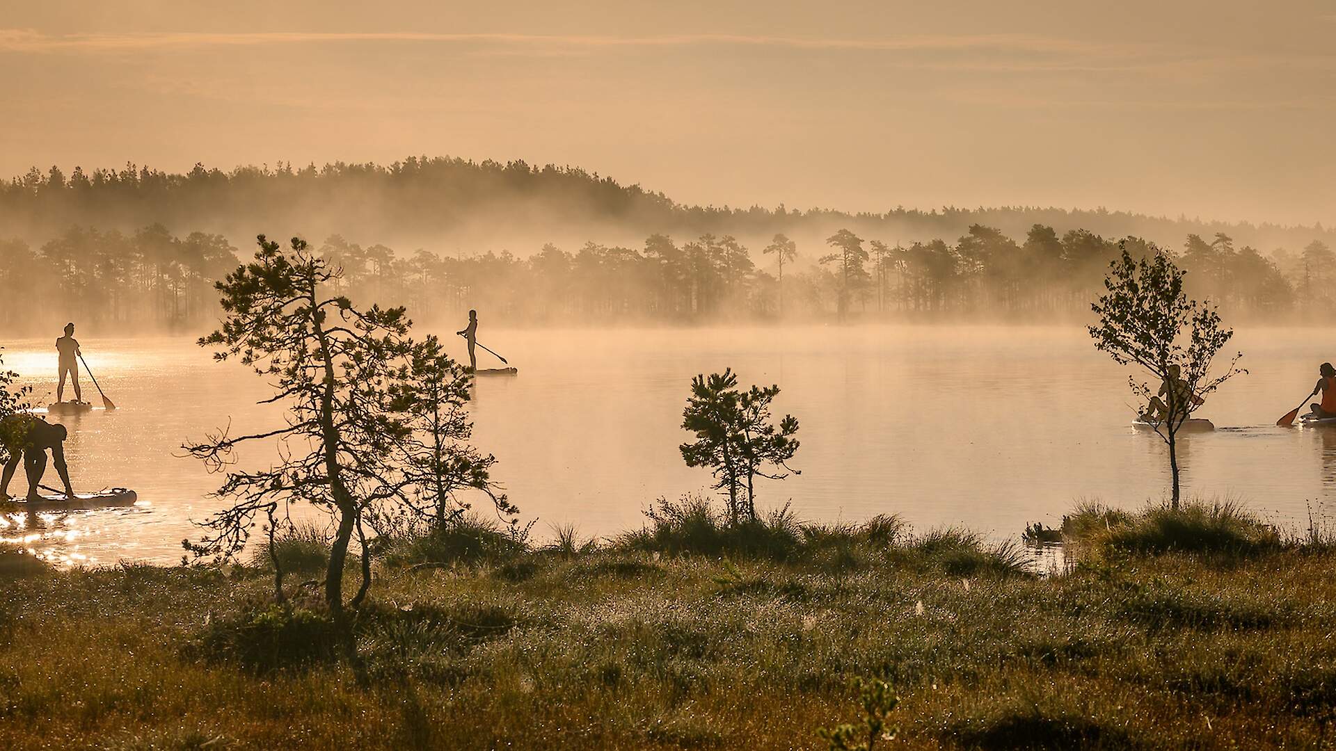 a landscape of Estonia at dusk