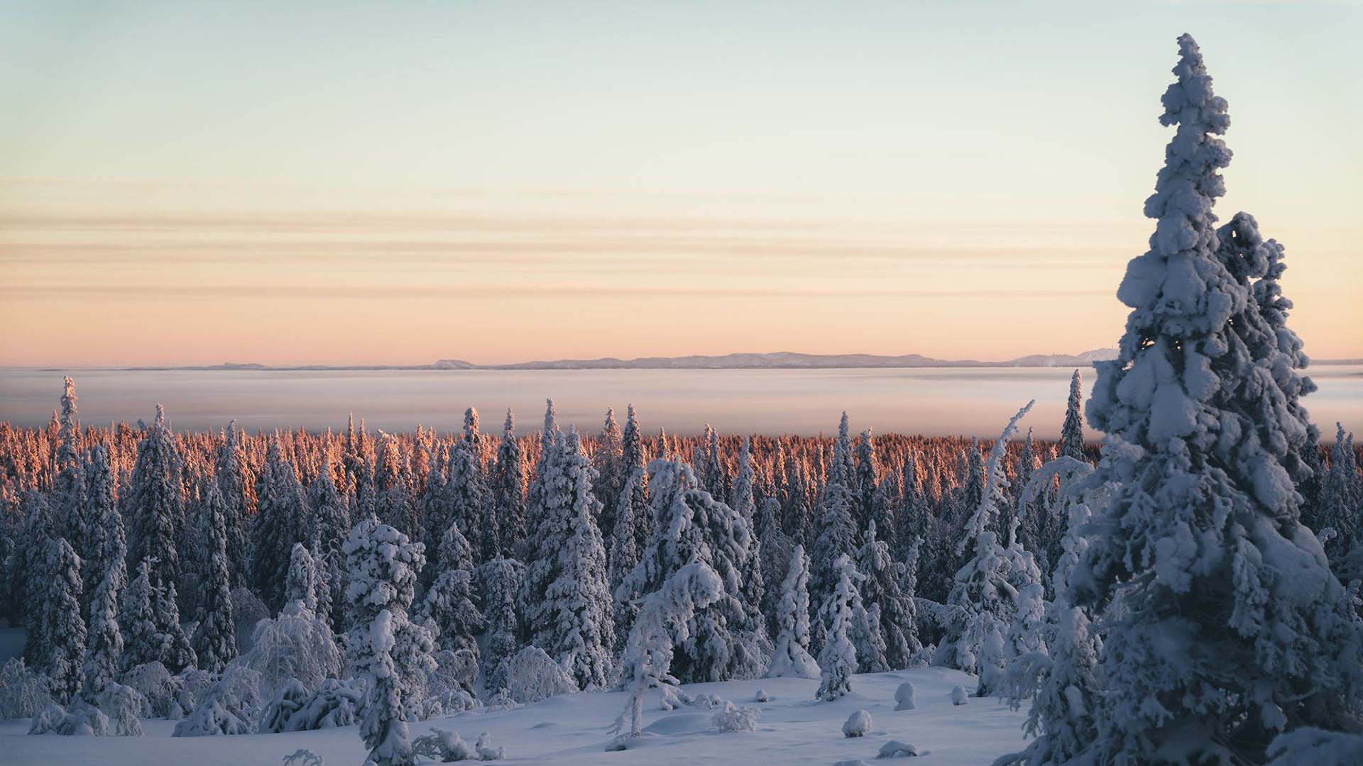 snowy landscape in Finnish Lapland