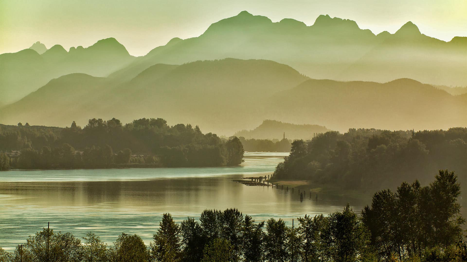 Forest and lake of West Canada