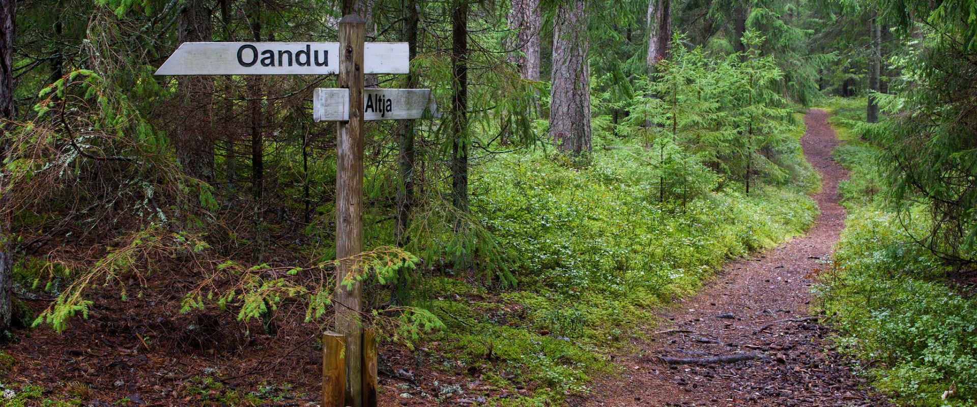 oandu nature trail oandu nature trail