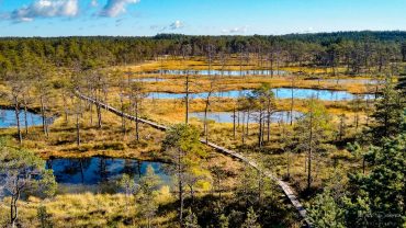 viru bog lahemaa national park
