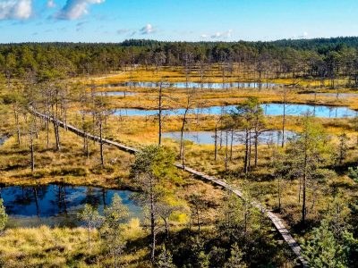 viru bog lahemaa national park