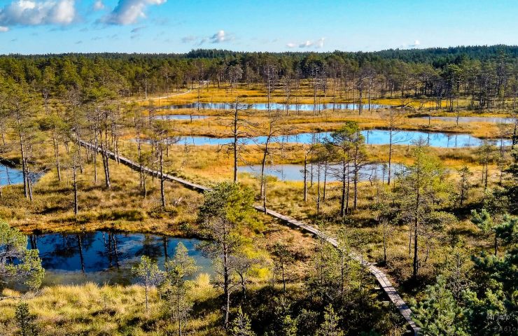viru bog lahemaa national park