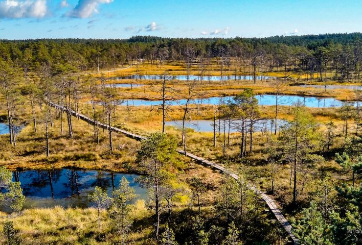 viru bog lahemaa national park