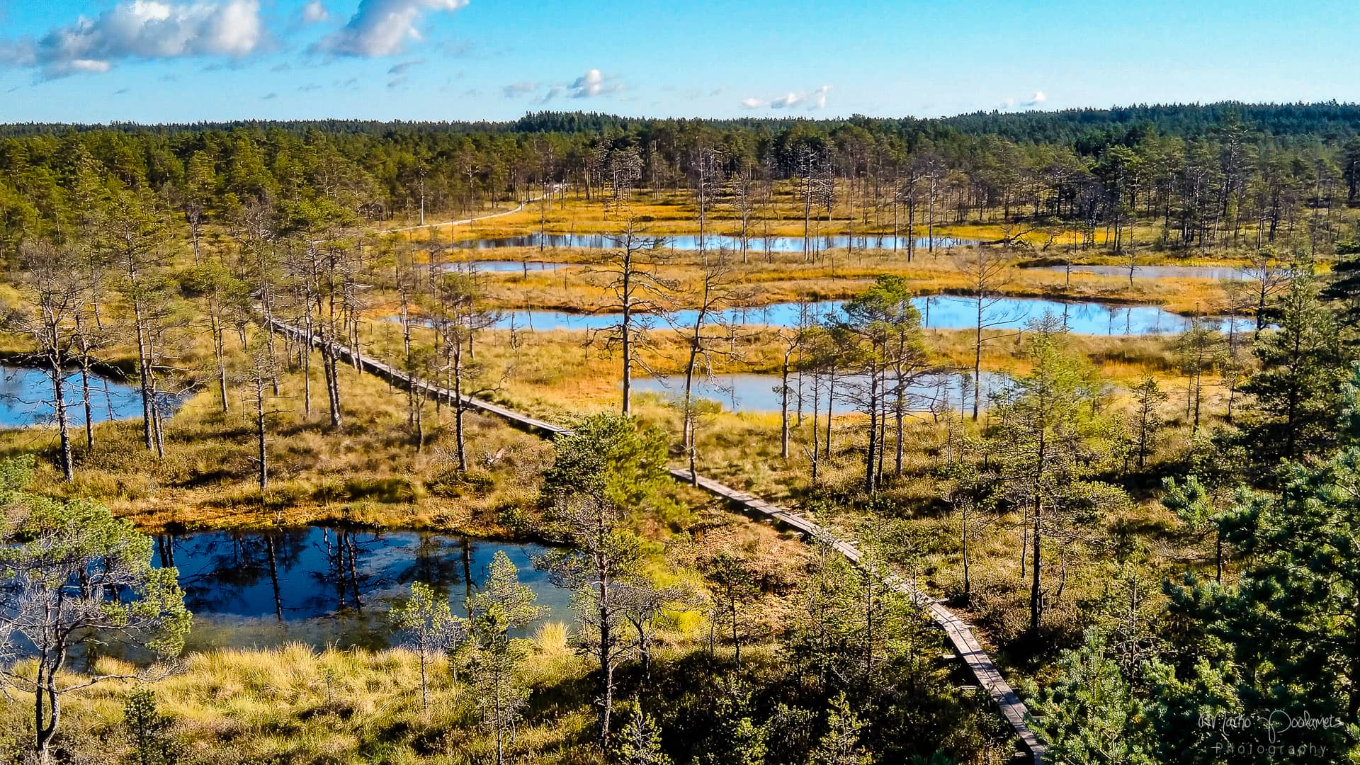 viru bog lahemaa national park viru bog lahemaa national park