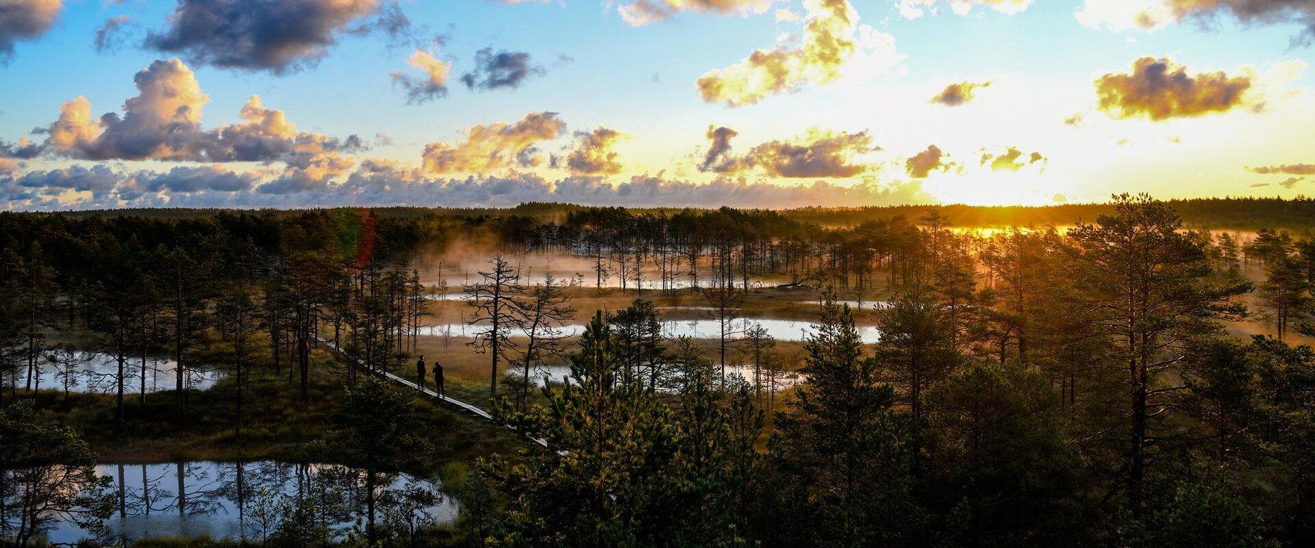 viru_bog_sunrise_visit_estonia viru bog estonia